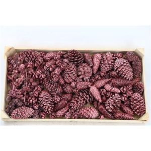 PINECONE MIX WAX BORDEAUX
