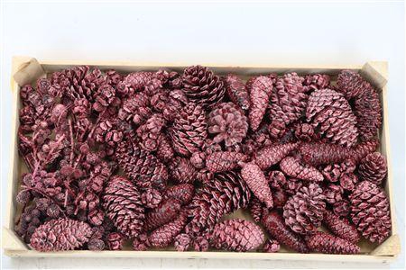 <h4>PINECONE MIX WAX BORDEAUX</h4>
