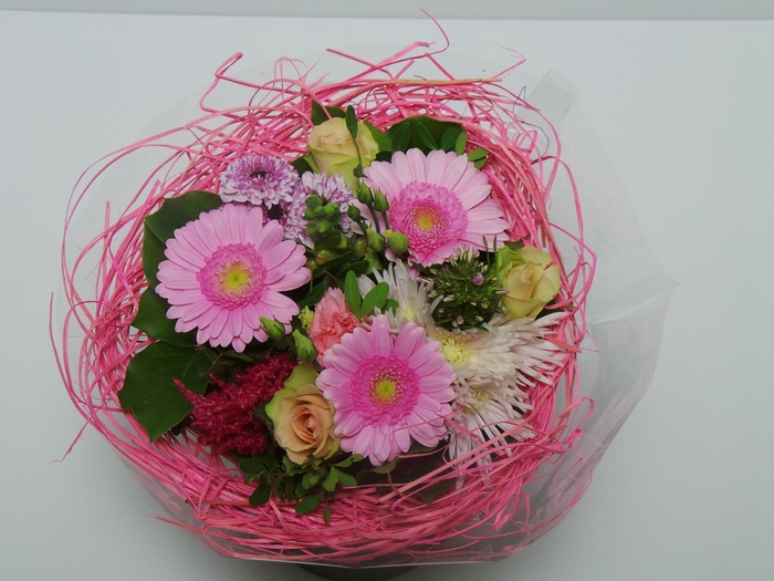 <h4>BQ Sisal Large Pink</h4>