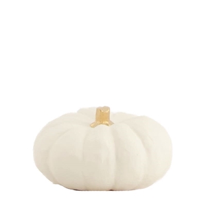 Homedeco Pumpkin d08*3.5cm