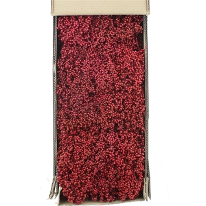 Dried Pepper Berries Rood