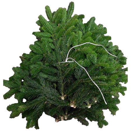 <h4>Nordman Bundle 5kg</h4>