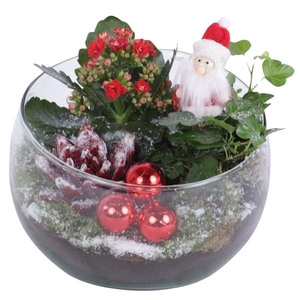 Christmas Arr. Indoor Glass Bowl Vase Ø20cm 3PP