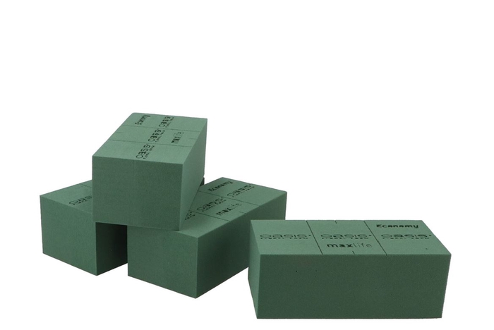 <h4>Oasis Economy Set Of 20 Bricks</h4>