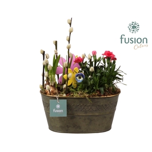 Schaal zink ovaal Voorjaar met Arrangement