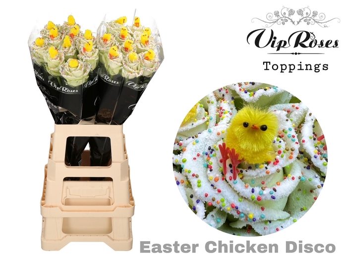 <h4>R GR EASTER CHICKEN DISCO x20</h4>