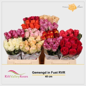 R GR GEM IN FUST