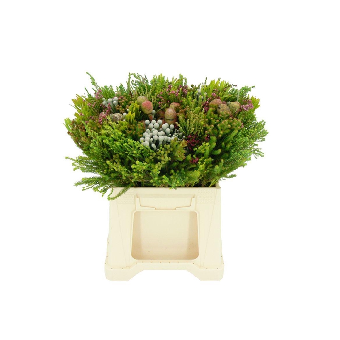 <h4>Kaaps Cone Mix</h4>