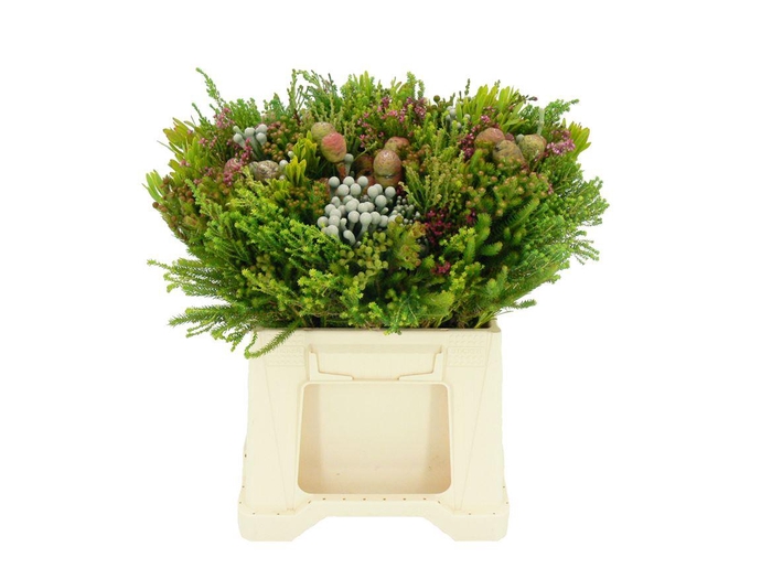 <h4>Kaaps Cone Mix</h4>