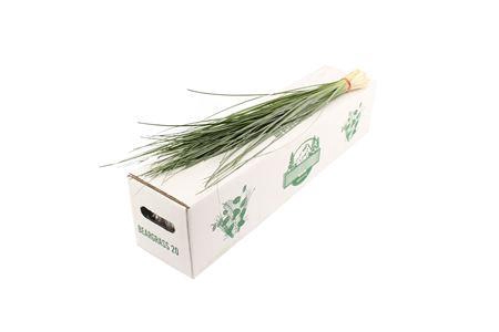 <h4>Deco Gr Beregrass Per Bos</h4>
