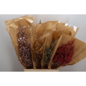 Deco Stem Moss Rainbow 50gr X12