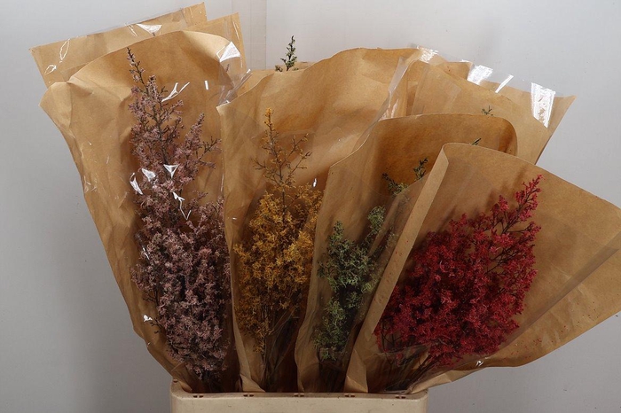 <h4>Deco Stem Moss Rainbow 50gr X12</h4>