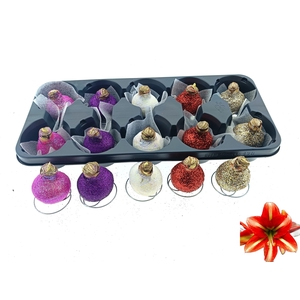 BLOEMBOL HIPPEASTRUM