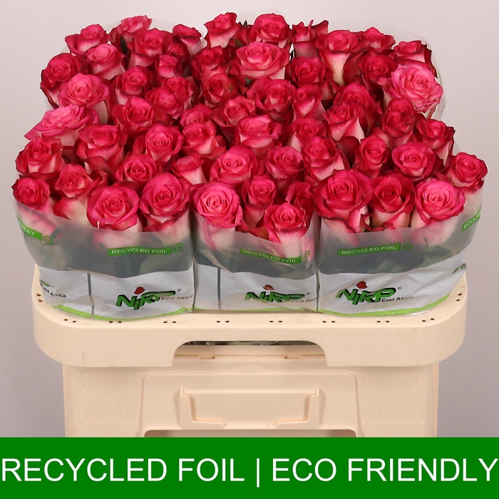 <h4>R GR DOUBLE FASHION</h4>