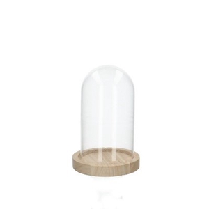 Glass cloche+wood d10 15cm