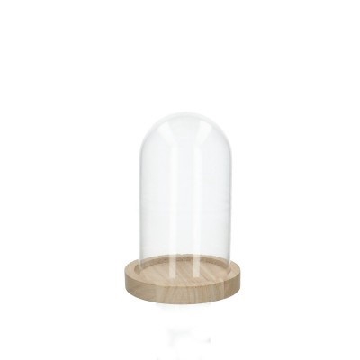 Glass cloche+wood d08 14cm