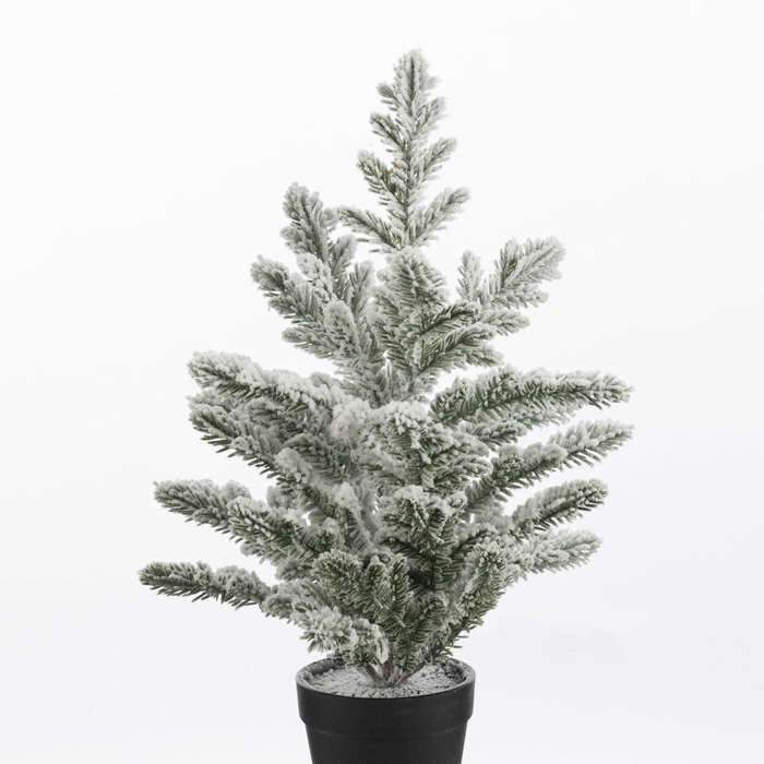 <h4>Pine Tree in pot wh Snow XM660119WHI</h4>
