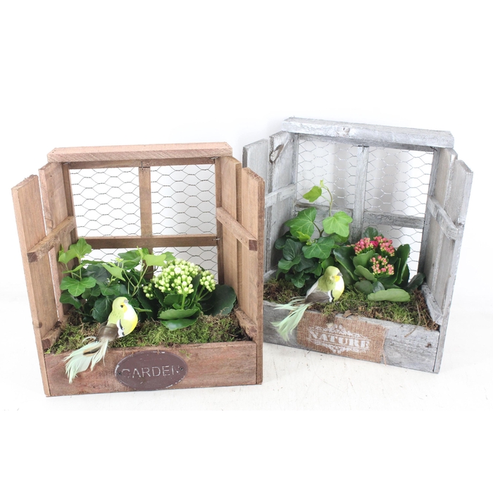 <h4>Arr2 Td - Hout Raam - Roze/wit</h4>