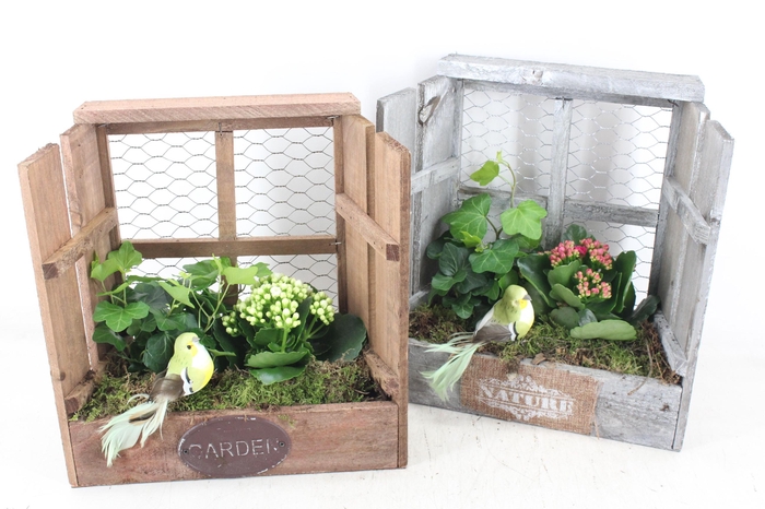 Arr2 Td - Hout Raam - Roze/wit