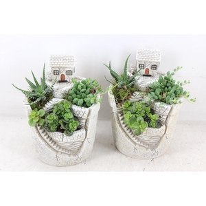 arr3 SN - Hill top house/garden