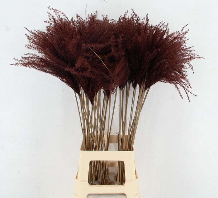 <h4>DROOGBL BEWERKT H%</h4>