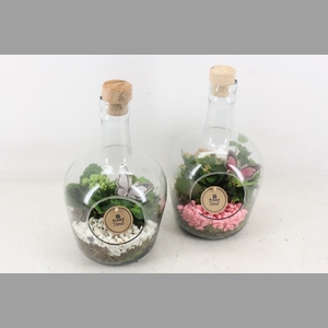 arr2 PL - Glas fles met dop - roze/wit