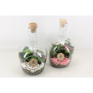 arr2 PL - Glas fles met dop - roze/wit