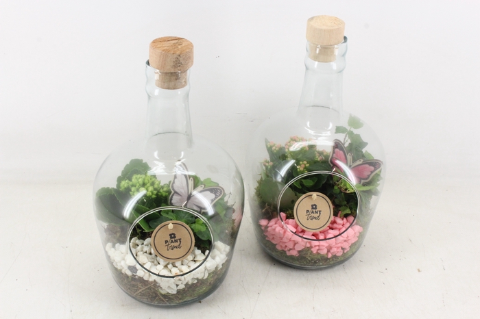 <h4>arr2 PL - Glas fles met dop - roze/wit</h4>