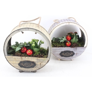 arr2 TD - Houten wiel - rood/wit