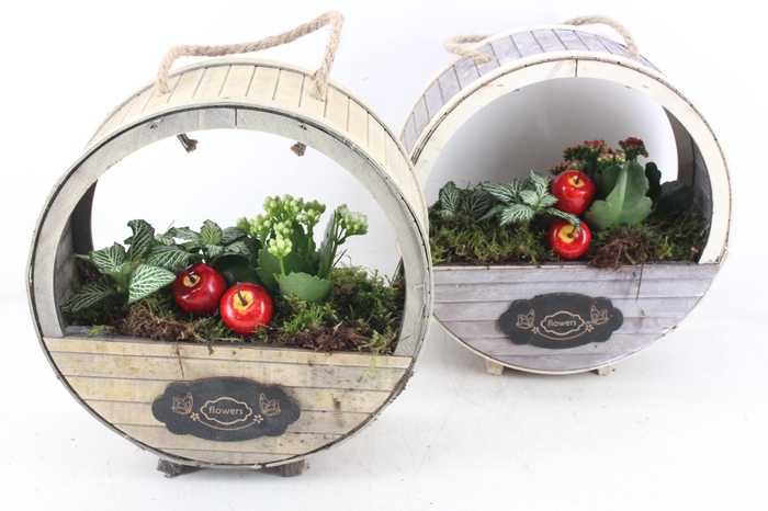 <h4>arr2 TD - Houten wiel - rood/wit</h4>