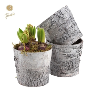 (3406) Hyacint Bark Pot [L]