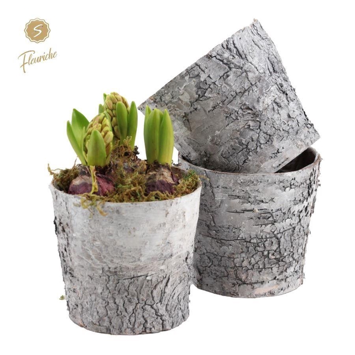 <h4>(3406) Hyacint Bark Pot [L]</h4>