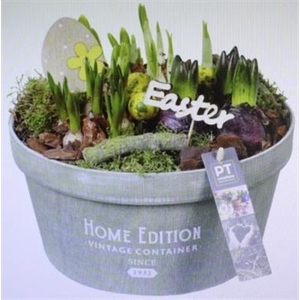 4539 TETE HOME EDITION