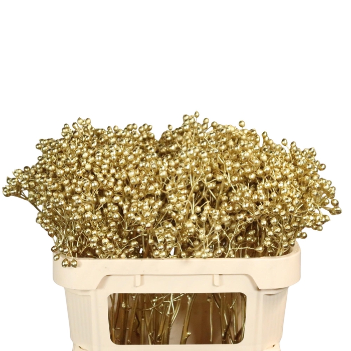 <h4>DECOGROEN OV KLB H%</h4>