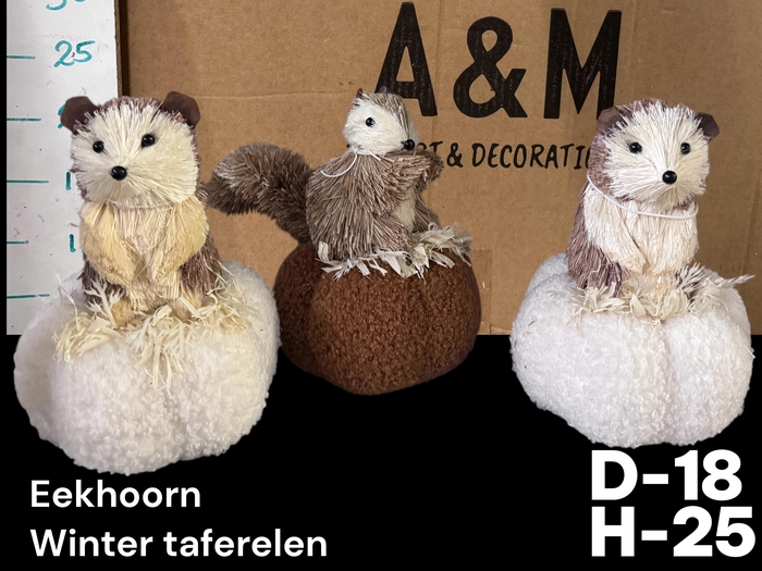 <h4>HUIS EN TUINDECO H%</h4>