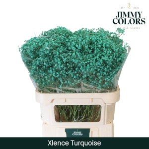 Gyps Xlence L80 Turquoise