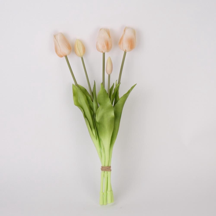 <h4>AF Tulip bundle x5 L45cm champ</h4>