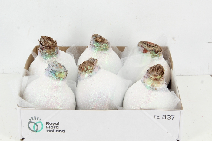 <h4>BOL HIPP WAX WHITE+GLITTER</h4>