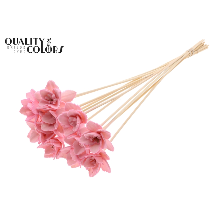 <h4>Shola Queen Flower on stem Pink</h4>
