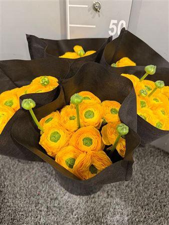 <h4>Ran Suc Omega Sup</h4>