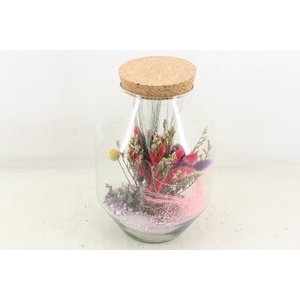 arr2 Droogbl. MB - Glas malaga 483/3