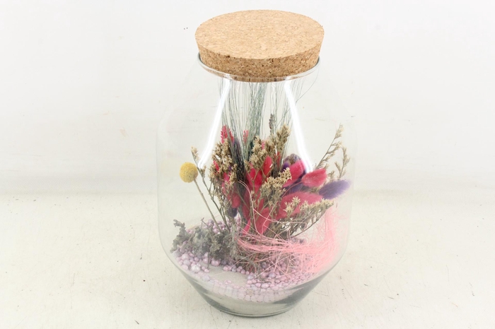 <h4>arr2 Droogbl. MB - Glas malaga 483/3</h4>