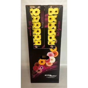GE MI SURFER Aquabox *160