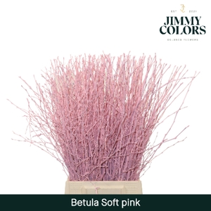 Betula L60 Soft Pink
