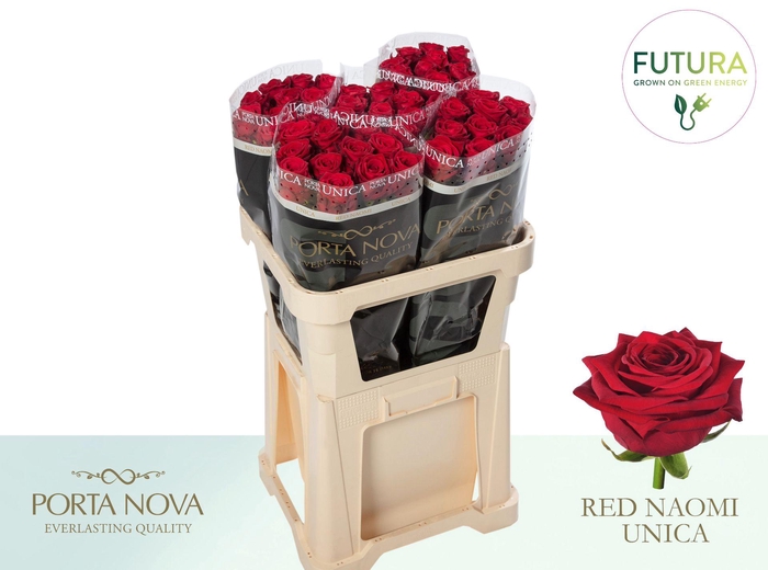 <h4>R GR RED NAOMI! UNICA - Futura 80 - Futura</h4>