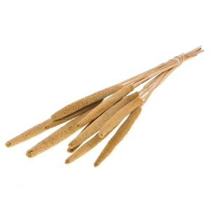 DRIED FLOWERS - BABALA NATURAL 10pcs