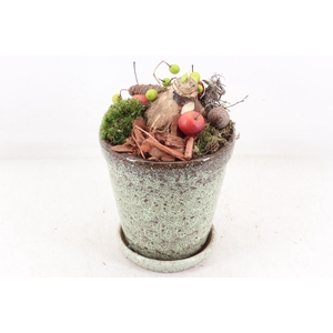 arr4 Amaryllis MB - Ker. luxe pot schotel x3 RD