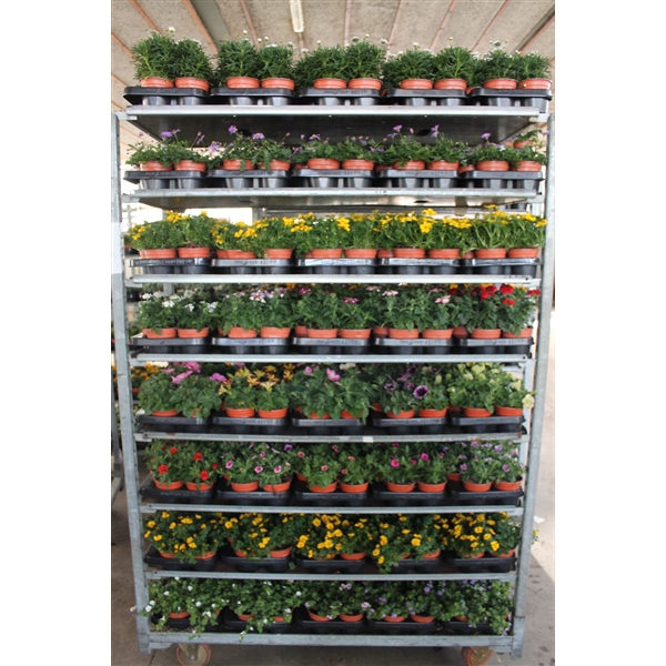 <h4>Perkplanten Mixkar</h4>