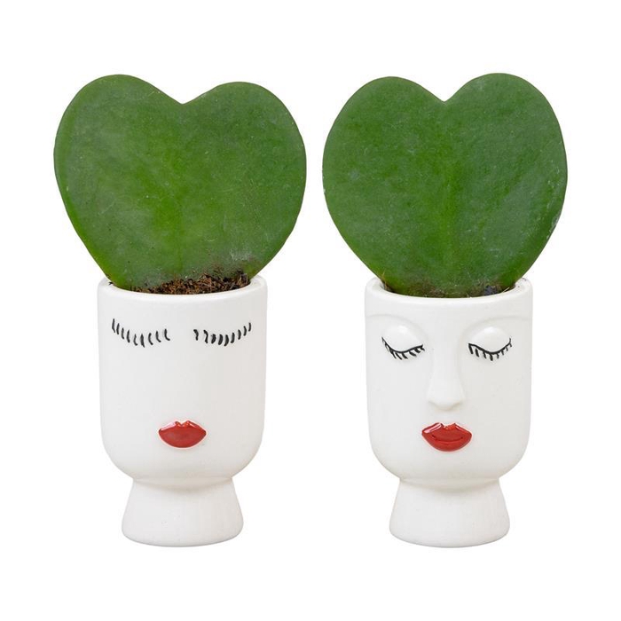 <h4>999725 Face It mini 3,5 cm</h4>