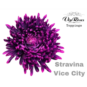 CHR G STRAVINA VICE CITY